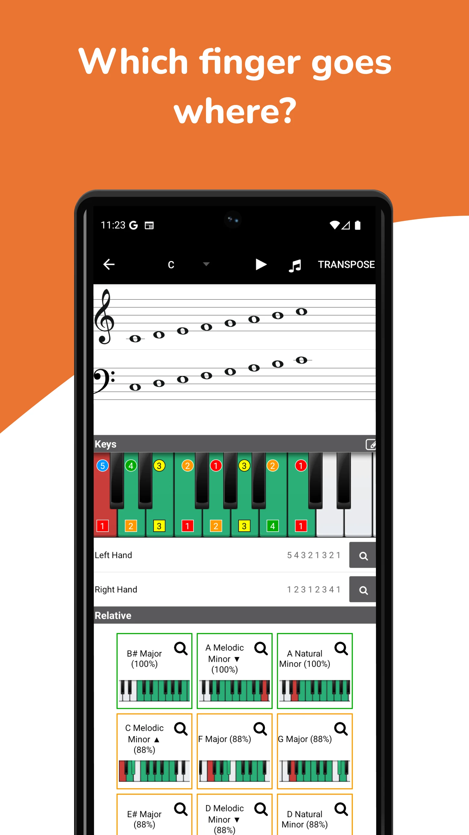 Piano Chords, Scales Companion screenshot