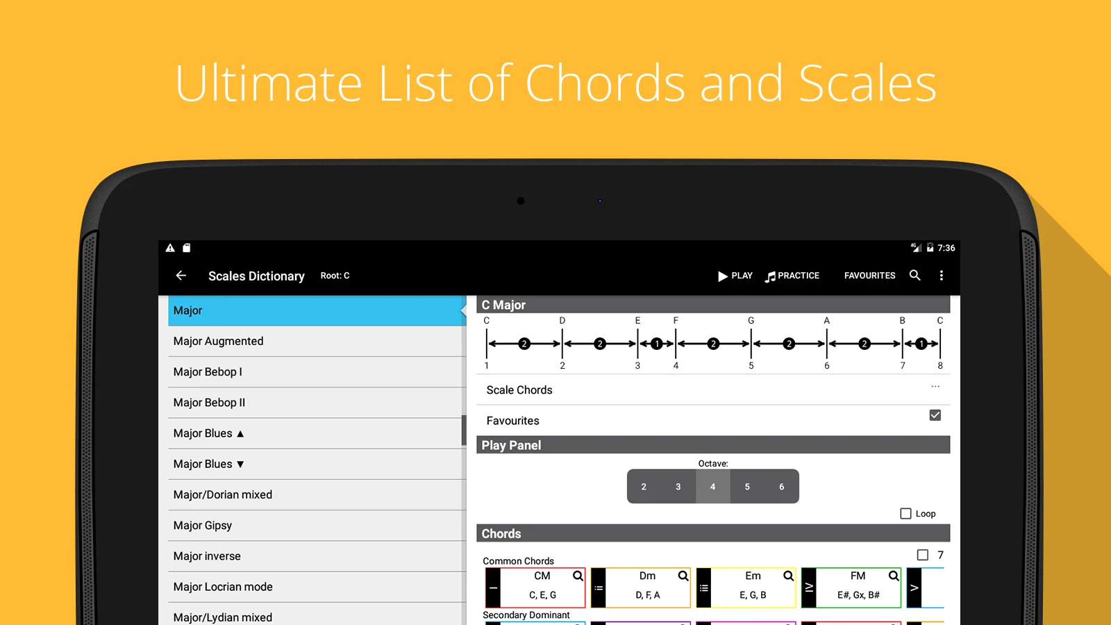 Piano Chords, Scales Companion screenshot