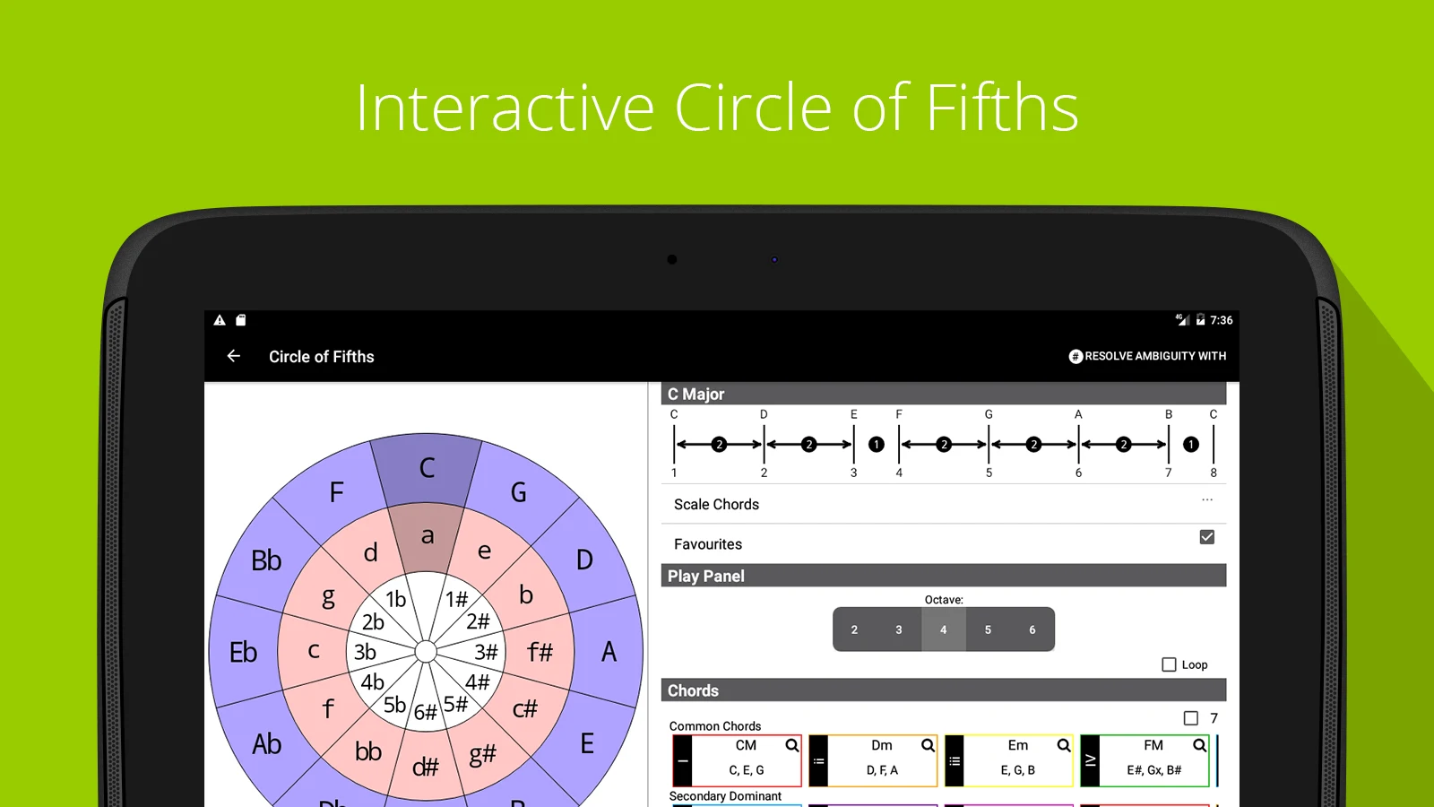 Piano Chords, Scales Companion screenshot